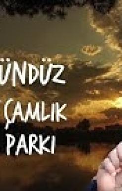GECE GÜNDÜZ YOZGAT ÇAMLIK MİLLİ PARKI