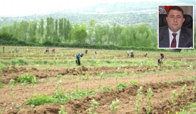 MİLLETVEKİLİ SEDEF : KABALI’LI ÇİFTÇİLERİMİZİ MAĞDUR ETTİRMEYİZ