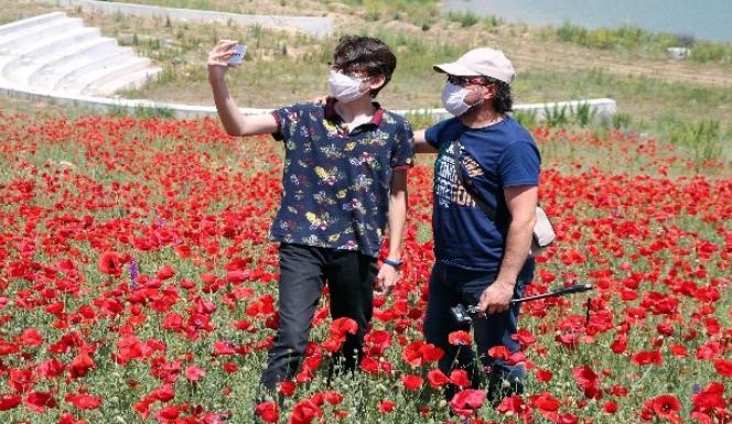 SPOR VADİSİNDE  GELİNCİKLERİN EŞSİZ DOĞAL GÖRSELİ