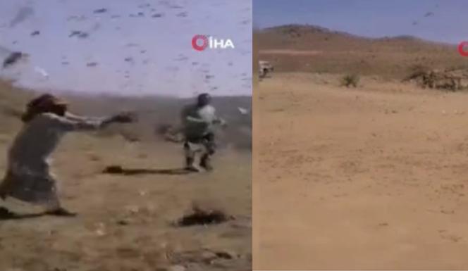 Suudi Arabistan’da çekirge istilası