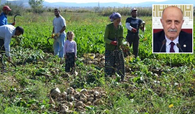 CHP MİLLETVEKİLİ KEVEN: YOZGATTAKİ ŞEKERPANCARI ÜRETİCİSİ SAHİPSİZ