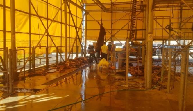 İBB kurban kesim alanında kasaplar kaçtı, vatandaş kendi kurbanını kendi kesti