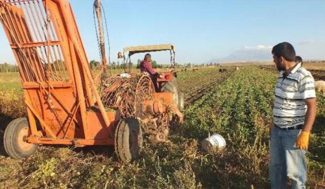 PANCAR ÜRETİCİLERİ TABAN FİATININ AÇIKLANMASINI BEKLİYOR