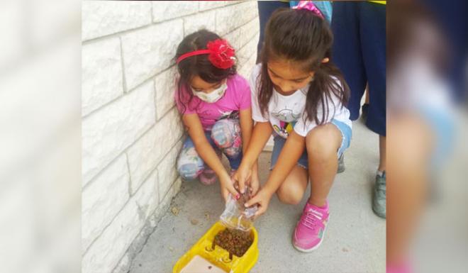 SORGUN’DA MİNİK YÜREKLERDEN SOKAK HAYVANLARINA YARDIM ELİ