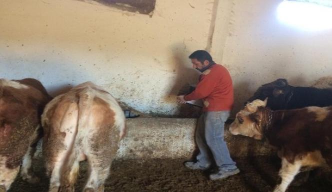 YOZGAT ÇİFTÇİSİ ve BESİCİSİ HÜKÜMET’TEN DESTEK BEKLİYOR