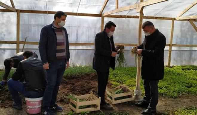 ORGANİK TARIM ATÖLYESİ İLK ÜRÜNLERİNİ VERMEYE BAŞLADI