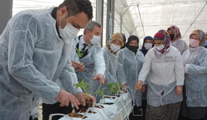 SORGUN BELEDİYESİNDEN JEOTERMAL SERACILIK PROJESİ