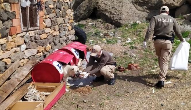 YOZGAT POLİSİ, SOKAK HAYVANLARINA DA SAHİP ÇIKTI