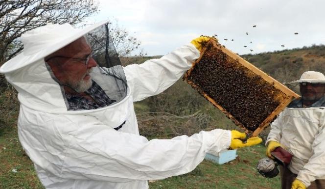 BOZOK YAYLASINDA GEZGİNCİ ARICILARIN BAL ÜRETİM MESAİSİ BAŞLADI