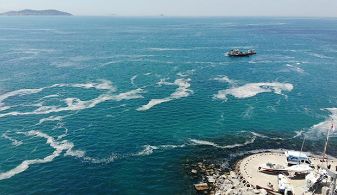 Marmara Denizi’ndeki müsilajı araştırmak için komisyon kurulmasına karar verildi
