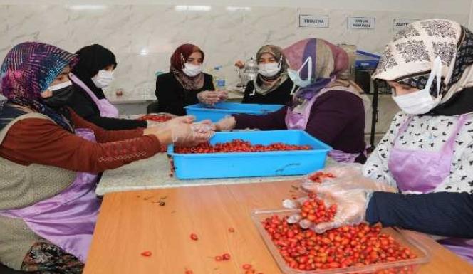 YÖRESEL ÜRÜNLERE DEĞER KATARKEN GEÇİMLERİNİ DE SAĞLIYORLAR