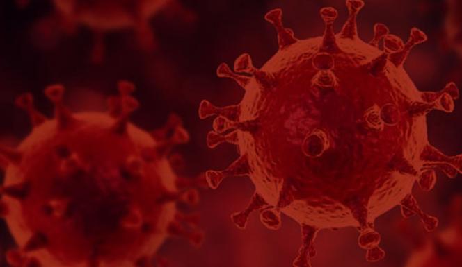 Son 24 saatte korona virüsten 236 kişi hayatını kaybetti