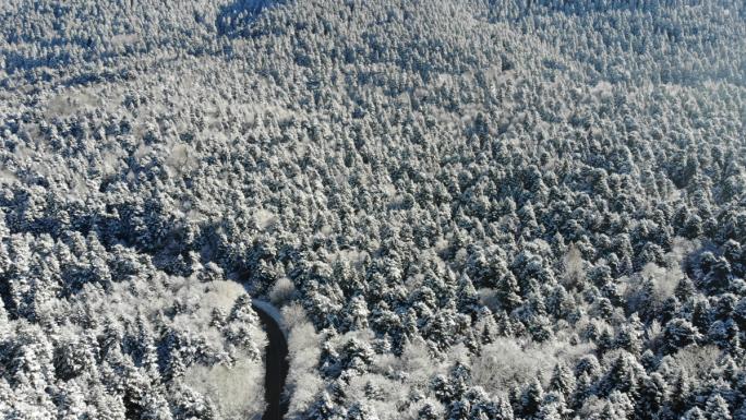 Bolu'nun karla kaplı ormanları havadan görüntülendi