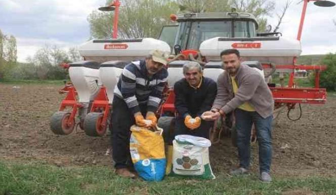  BAKLAGİLLERDE ÇEŞİTLİLİĞİ ARTIRMAYA YÖNELİK DENEME EKİMİ