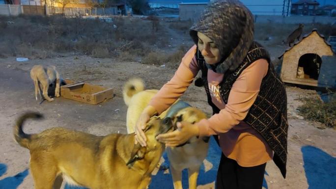 SONYA HANIM BAKIMA MUHTAÇ KÖPEKLERE DAİMA SAHİP ÇIKIYOR
