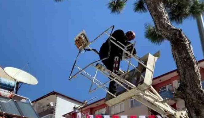 AĞAÇTA MAHSUR KALAN KEDİYİ İTFAİYE KURTARDI