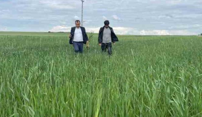 YOZGAT’TA EKİLİ ALANLARDA PAS HASTALIĞI RİSKİ