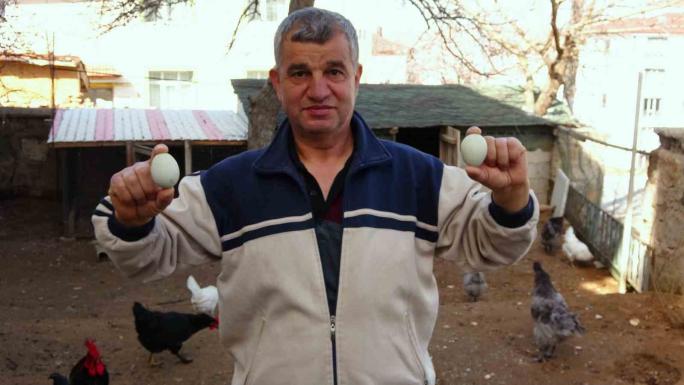 YOZGAT'TA YEŞİL YUMURTANIN TANESİ 20 LİRADAN SATILIYOR 