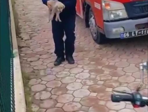 DEREYE DÜŞEN YAVRU KÖPEK İÇİN İTFAİYE SEFERBER OLDU 