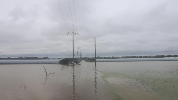GÜNEY KORE'DE SEL VE TOPRAK KAYMASI: 4 ÖLÜ, 1 KAYIP 