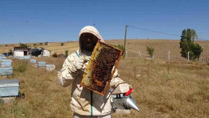 YOZGAT’TA SICAK HAVALAR YÜZÜNDEN BAL ÜRETİMİNE ERKEN BAŞLANDI