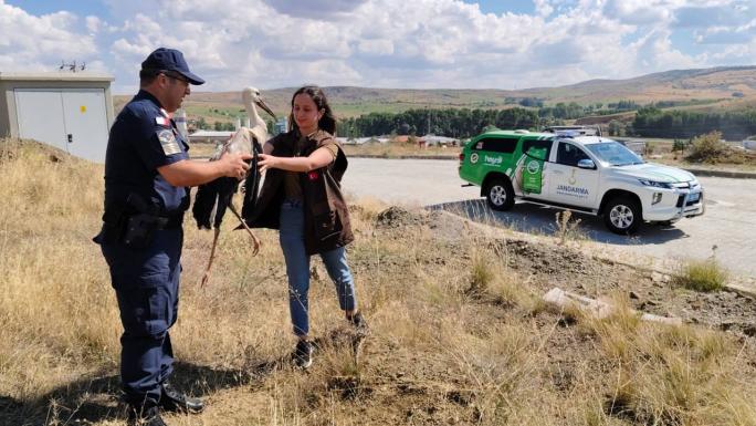 İNCEÇAYIR KÖYÜNDE YAŞAYAN YARALI LEYLEĞE SAHİP ÇIKTI