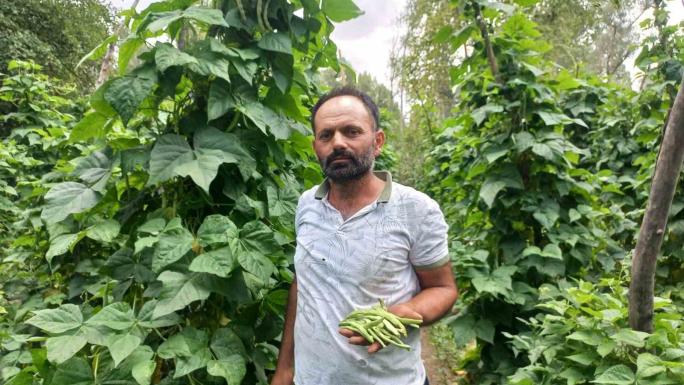 ATA TOHUMU İLE YETİŞTİRİLEN ‘ARAPLI’FASULYESİ BELDE HALKININ GEÇİMİNİ SAĞLIYOR