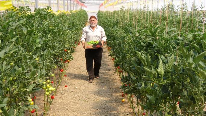 HOLLANDA DA SERACILIK YAPIYORDU.YOZGATA DÖNÜP AYNI İŞİ SÜRDÜRÜYOR
