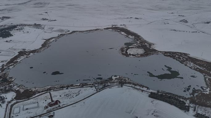 GÖL BUZ TUTTU, KUŞLAR GÖRSEL ŞÖLEN OLUŞTURDU