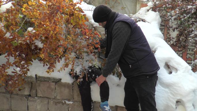 CESET SANDILAR, ÇİÇEKLİK ÇIKTI 