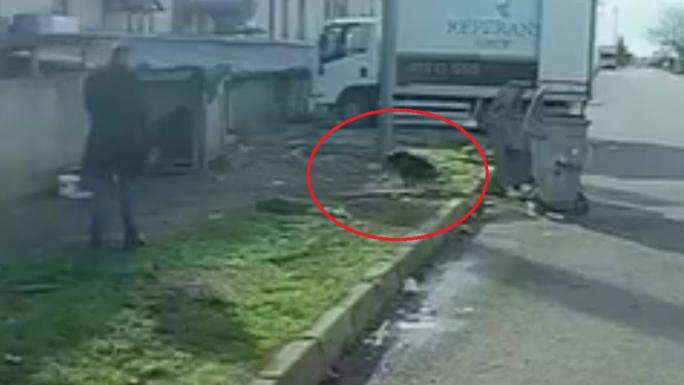 BAŞIBOŞ KÖPEĞİN SALDIRISINA UĞRADI: O KAÇTI, KÖPEK KOVALADI 