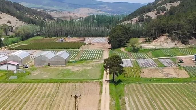 TÜRKİYE’NİN 4. BÜYÜK FİDANLIĞINDA YILDA 3 MİLYON FİDAN ÜRETİLİYOR