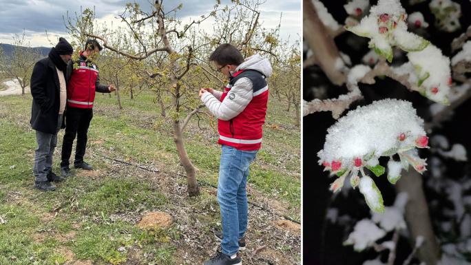 YOZGAT’TA ZİRAİ DON KABUSU: KIRSALDA HASARLAR OLUŞTU