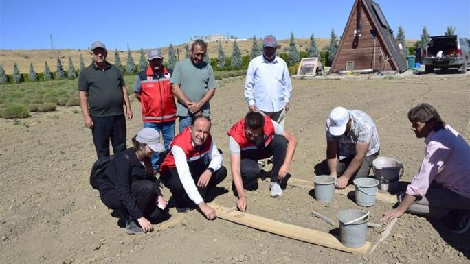 YOZGAT’TA SAFRAN VE SALEP BİTKİLERİNİ DİKİM SEFERBERLİĞİ