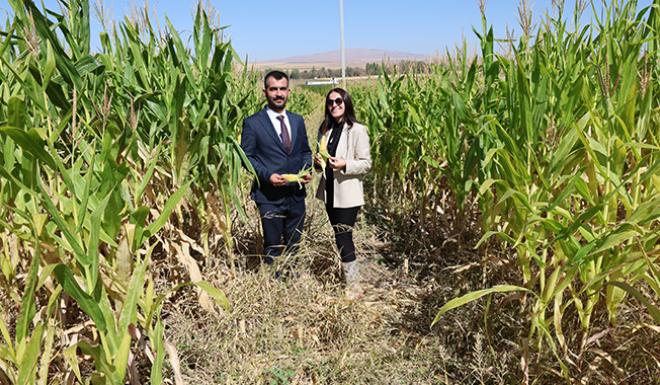 BOĞAZLIYAN MYO BİLİMSEL ARAŞTIRMALARI VE ÜRETİM ÇALIŞMALARIYLA DA DİKKAT ÇEKİYOR