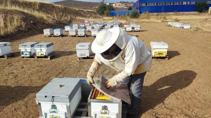 İNSAN AYAĞININ DEĞMEDİĞİ DAĞLIK BÖLGELERDE BAL ÜRETİLİYOR