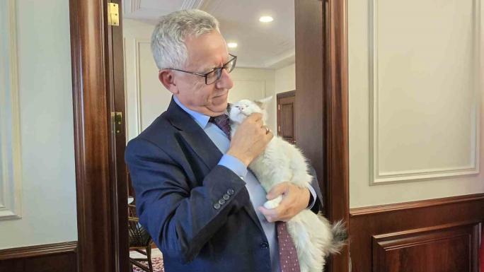 BAŞKAN ARSLAN, MAKAM ODASINDA 3 KEDİ İLE 6 YAVRUSUNU DA BESLİYOR 