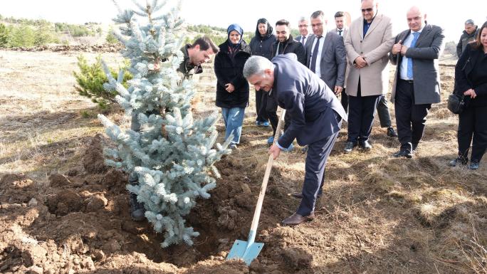 DAVULBAZTEPEDE ON BİN FİDAN TOPRAKLA BULUŞTURULDU