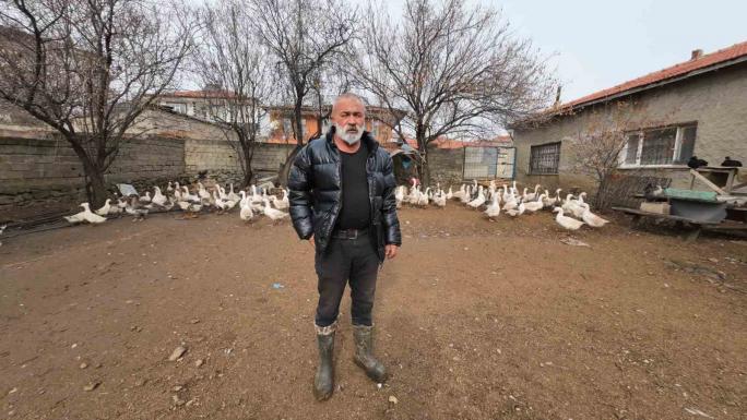 İSTANBUL’DAN MEMLEKETİ YOZGAT’A DÖNDÜ, BİNLERCE HAYVAN ÜRETEREK GEÇİMİNİ SAĞLIYOR