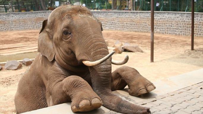 FATMA ŞAHİN’DEN CHP’Lİ BAŞARIR’A YALANLAMA