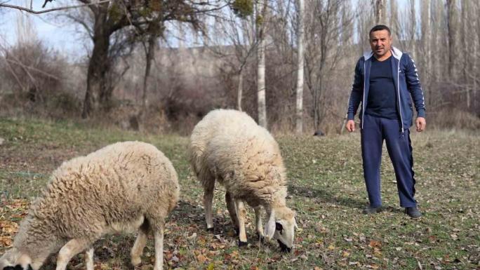 KESMEK İÇİN ALDIĞI KOYUNLARA ŞİMDİ ANTRENÖRLÜK YAPIYOR 