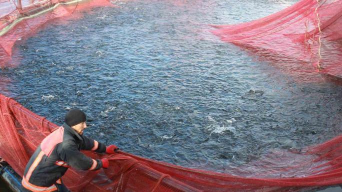 BOZKIRIN ORTASINDA YETİŞTİ, RUSYA VE JAPONYA YOLCUSU OLDU 