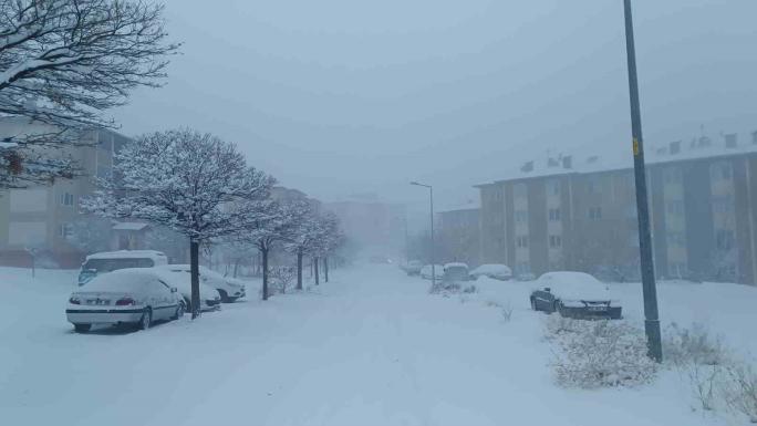 VAN KAR YAĞIŞI: 569 YOL KAPANDI, UÇAK SEFERLERİ İPTAL EDİLDİ 