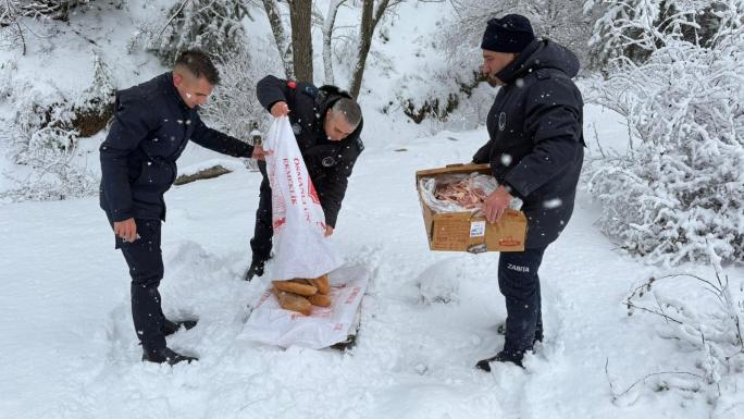 ZABITA EKİPLERİNDEN YABAN HAYVANLARINA KIŞ DESTEĞİ