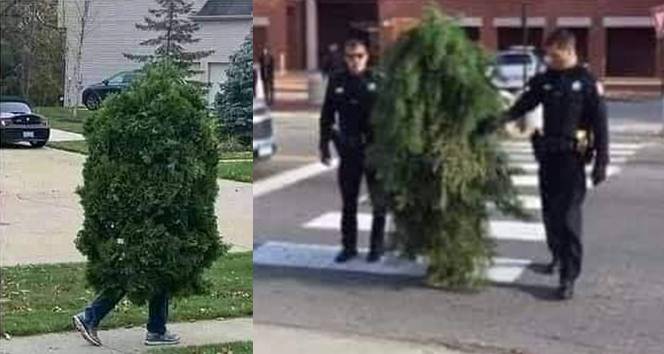 Sırbistan’da sokağa çıkma yasağını delen 'ağaç' yakalandı