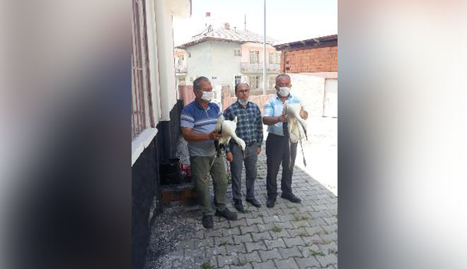 LEYLEĞİN YUVASINDAN ATTIĞI YAVRULARA CAMİ İMAMI SAHİP ÇIKTI