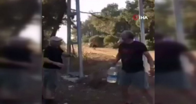 Heybeliada'daki orman yangınına vatandaşlar pet şişelerle su taşıdı
