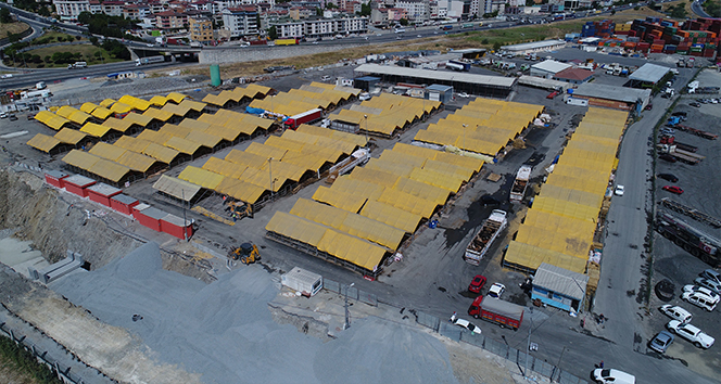 İstanbul’da kurbanlıklar çadırları doldurmaya başladı