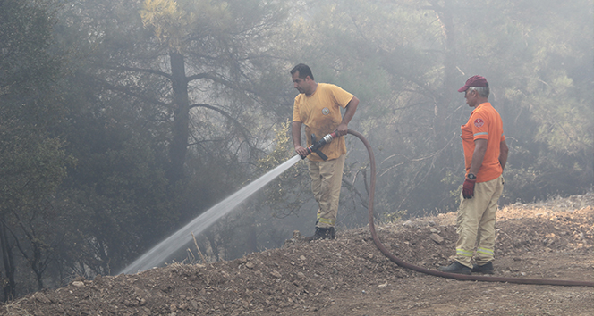 Menderes'teki orman yangınıyla ilgili flaş gelişme: O şahıs tutuklandı