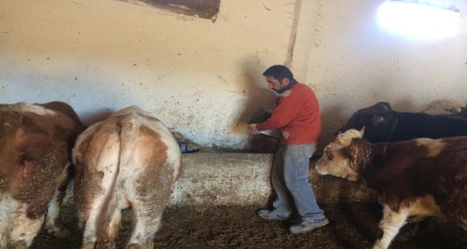 YOZGAT ÇİFTÇİSİ ve BESİCİSİ HÜKÜMET’TEN DESTEK BEKLİYOR